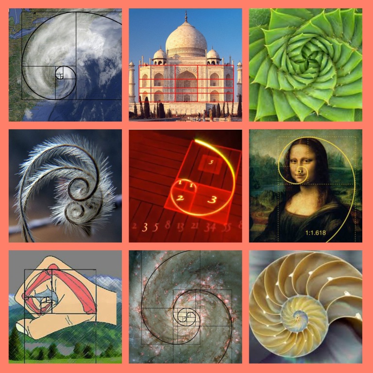 fibonacci collage
